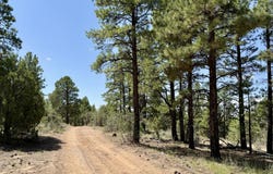 3 Leaning Pine Lane, Ramah, NM 87321