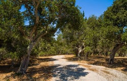 25600 Via Malpaso, CARMEL, CA 93923