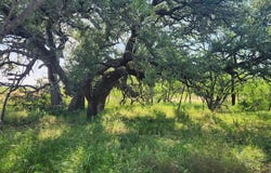 824 County Rd 409, Talpa, TX 76884