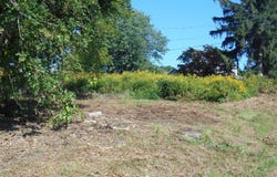 477 RED HILL Road, Benton, PA 17814