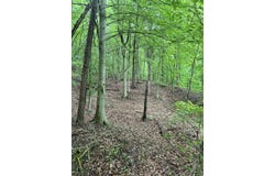 Mt. Scratchum Road, Irvine, KY 40336