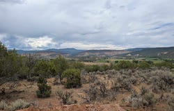 15770 Heavens View Road, Cedaredge, CO 81413