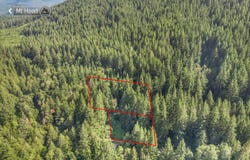 Jennie Ln, Rhododendron, OR 97049