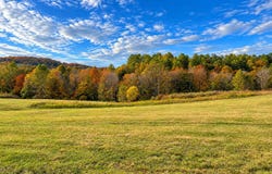 376 Statham Road, Liberty, KY 42539