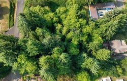 TL 6100 Gregory St, Wheeler, OR 97147