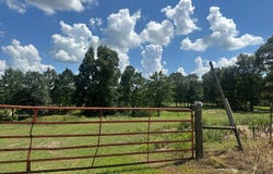 Guthrie Carter Road, MOSELLE, MS 39459