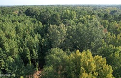 Dampeer Road, Canton, MS 39046