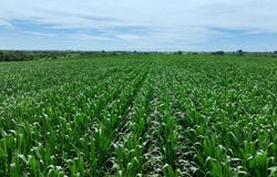 120th Street, Corydon, IA 50060