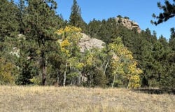 TBD Bald Mountain Dr, Livermore, CO 80536