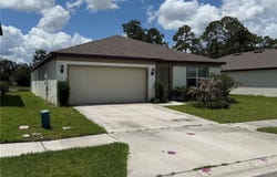 30596 THUNDERBIRD Drive, WESLEY CHAPEL, FL 33545