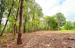 Landrum Road, Bainbridge, OH 45612