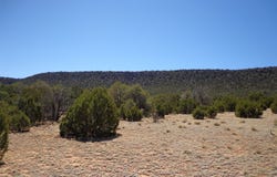 Tract 2B Camino del Sol, NM 87569
