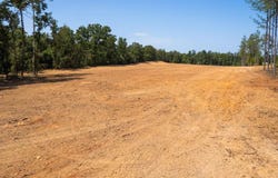 HWY 6 E, THAXTON, MS 38871