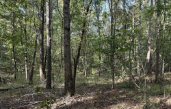 329 Big Man Road, West, MS 39192