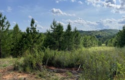 Ridgeline Drive, Vonore, TN 37885