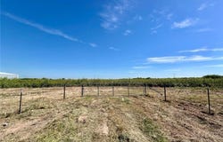7821 Mile 19, Edcouch, TX 78538
