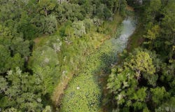 7200 Norway Street, Webster, FL 33597