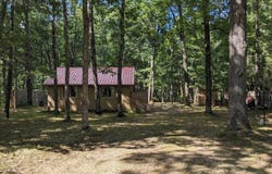 1640 W Bartlett Road, Baldwin, MI 49304