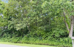 35841 S Jay Drive, Custer Park, IL 60481