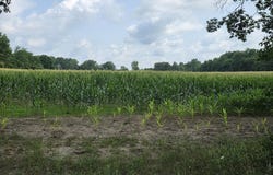 13 Mile Rd (parcel 3), Burlington, MI 49029