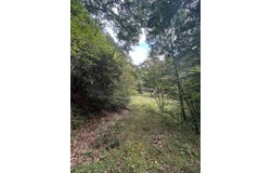 230 Little River Retreat Rd, Bartow, WV 24920