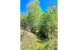 3775 Baker Rd, Kingsbury, TX 78638