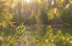 Bob Cat Trail, Dunlap, TN 37327