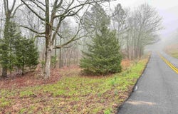 37 High Point Drive, Mayflower, AR 72106