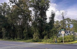 Cloer Lane, Crawfordville, FL 32327