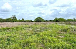 3798 Johnston Road, Wallis, TX 77485