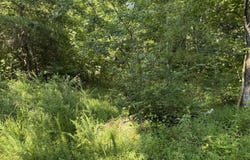 WM Judd, Columbia, KY 42728