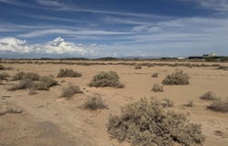 xxxx, Tonopah, AZ 85354