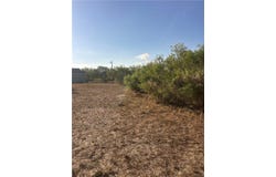 Kingsville, TX 78363