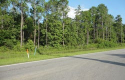 Dolphin Drive, Gautier, MS 39553