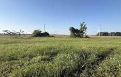 3 Lots Lockwood Drive, Corning, AR 72422