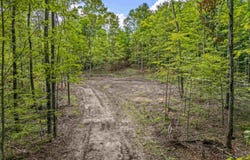 00 VALENCOURT ROAD, COPEMISH, MI 49625
