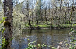 5815 ROSE VALLEY Rd, Kelso, WA 98626