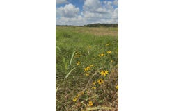 Highway 63, Houston, MO 65483