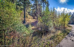 NNA C15 White Cloud Drive, Sandpoint, ID 83864