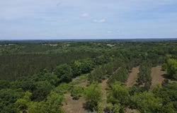 Hwy 84, Elba, AL 36323