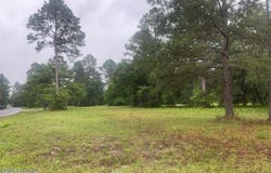 153 Sapelo Park Drive NE, Shellman Bluff, GA 31331