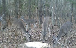 CR 3216, DeKalb, TX 75559