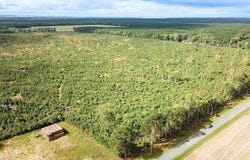 193 Acres Saxis Road, Saxis, VA 23427