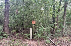 113 County Road 3460, JOAQUIN, TX 75954