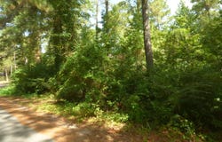 Cedar Drive lot: 27, Monticello, MS 39654