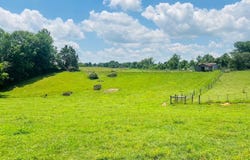 00 Crocus Rd, Glens Fork, KY 42741