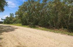 ELAINE Drive, WEBSTER, FL 33597