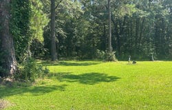 9 Schoolhouse Rd, Cottonton, AL 36871