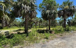 SW Airport Rd, Cedar Key, FL 32625
