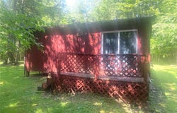 Putt Brook Road, Scio, NY 14880